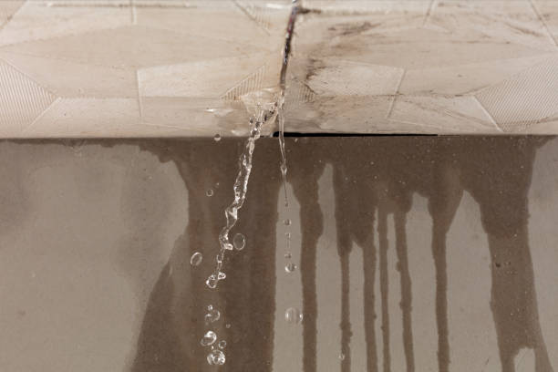 Professional Structural Drying technician working in Windham, ME